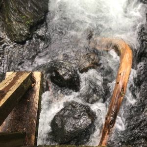 Meet your Posher, Sam